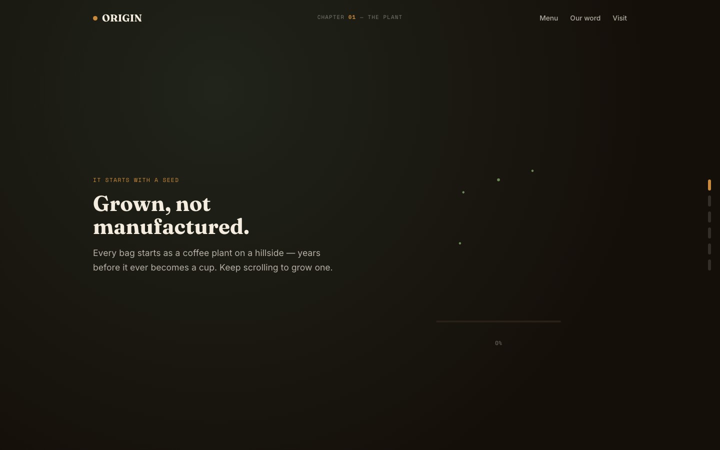Origin Coffee website hero section showing specialty coffee with earthy tones and Fraunces serif typography